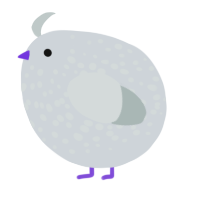 A mist and silver chicken with a speckle pattern