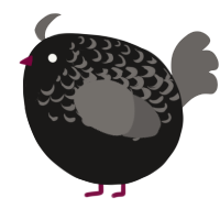 A sable and grey chicken with a half-lace pattern