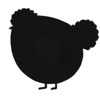 A black chicken