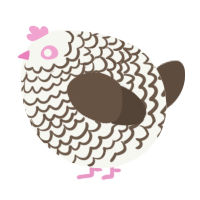 A white and bark chicken with a lace pattern