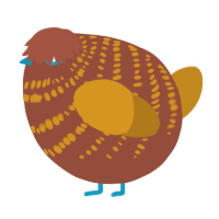 A russet and ochre chicken with a bar pattern