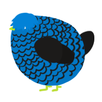 A sapphire and sable chicken with a lace pattern