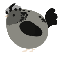 A ash and black chicken with a neck-speckle pattern