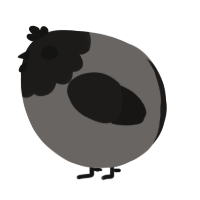 A grey and sable chicken with a head pattern