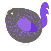 A grey and blurple chicken with a speckle pattern