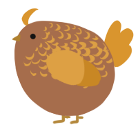 A brown and orange chicken with a half-lace pattern