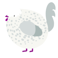 A white and silver chicken with a speckle pattern