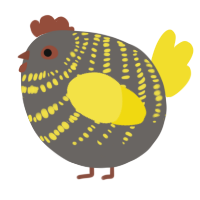 A grey and yellow chicken with a bar pattern