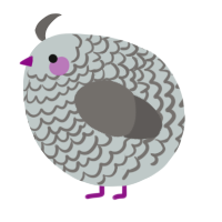 A silver and grey chicken with a lace pattern