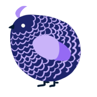 A navy and lilac chicken with a lace pattern