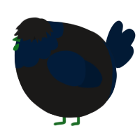 A sable and tumblr chicken with a head pattern