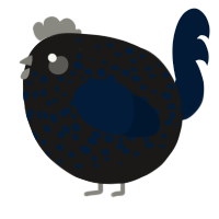 A sable and tumblr chicken with a speckle pattern