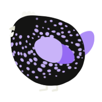 A black and lilac chicken with a speckle pattern