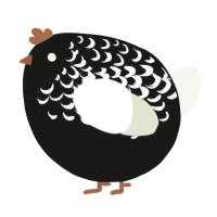 A sable and white chicken with a half-lace pattern