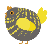 A grey and yellow chicken with a bar pattern