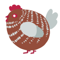 A russet and silver chicken with a bar pattern