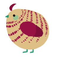 A beige and maroon chicken with a bar pattern