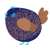 A navy and brown chicken with a double-lace pattern