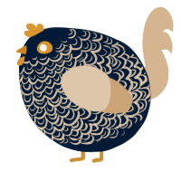 A tumblr and beige chicken with a double-lace pattern