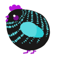A sable and aqua chicken with a bar pattern