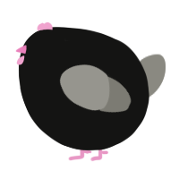 A black and ash chicken