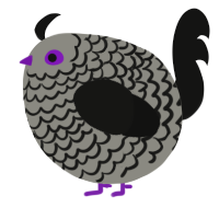 A ash and black chicken with a lace pattern