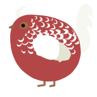 A red and white chicken with a half-lace pattern