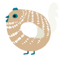 A beige and white chicken with a bar pattern