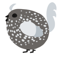 A grey and mist chicken with a speckle pattern