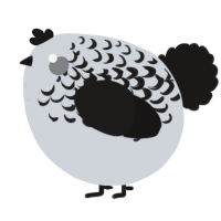 A mist and sable chicken with a half-lace pattern
