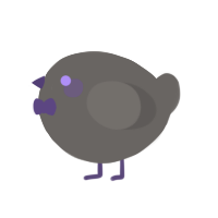 A grey chicken
