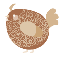 A brown and beige chicken with a double-lace pattern