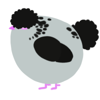 A silver and black chicken with a neck-speckle pattern