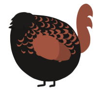 A sable and russet chicken with a half-lace pattern