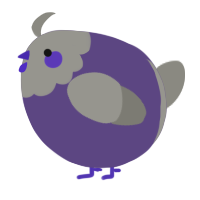 A overcast and ash chicken with a head pattern