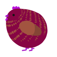 A maroon and russet chicken with a bar pattern