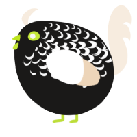 A sable and cream chicken with a half-lace pattern