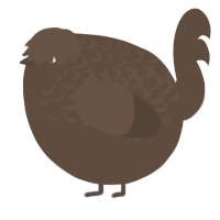 A bark chicken with a half-lace pattern