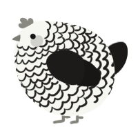 A white and sable chicken with a lace pattern