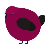 A maroon and sable chicken