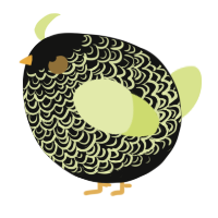 A black and lemon chicken with a double-lace pattern