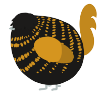 A sable and ochre chicken with a bar pattern