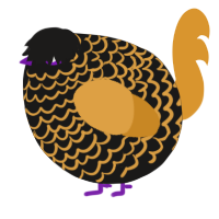 A sable and orange chicken with a lace pattern