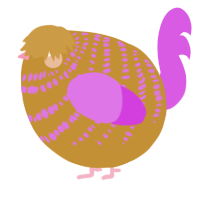 A gold and orchid chicken with a bar pattern