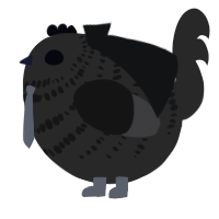 A mist chicken with a bar pattern
