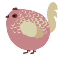A amethyst and ash chicken with a half-lace pattern