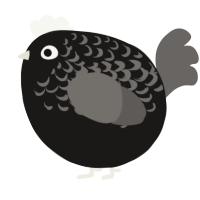A sable and grey chicken with a half-lace pattern