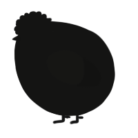 A black chicken
