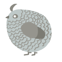 A silver and ash chicken with a lace pattern