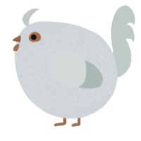 A mist and silver chicken with a double-lace pattern
